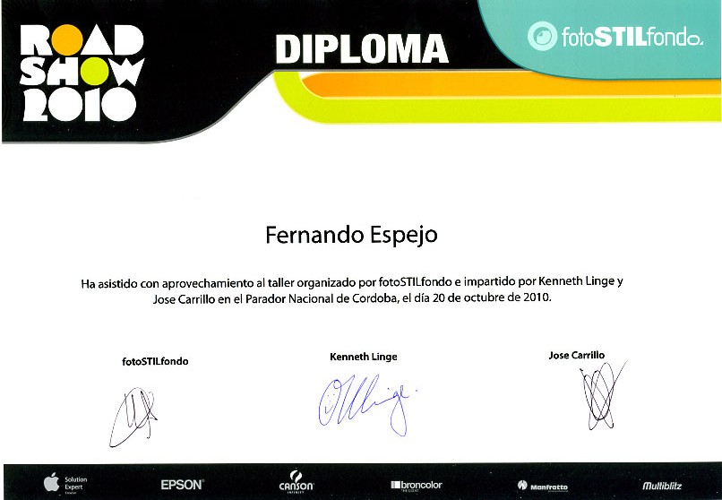 Ciber-Studio - diploma.jpg